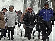 Пенсионеры из Подольска вошли в топ‑5 лидеров РФ по итогам чемпионата по ходьбе