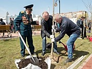 В Подольске прошла акция «Лес Победы»