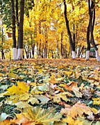 Осенний Подольск