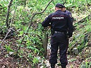 В лесу под Подольском обнаружен труп неизвестной женщины